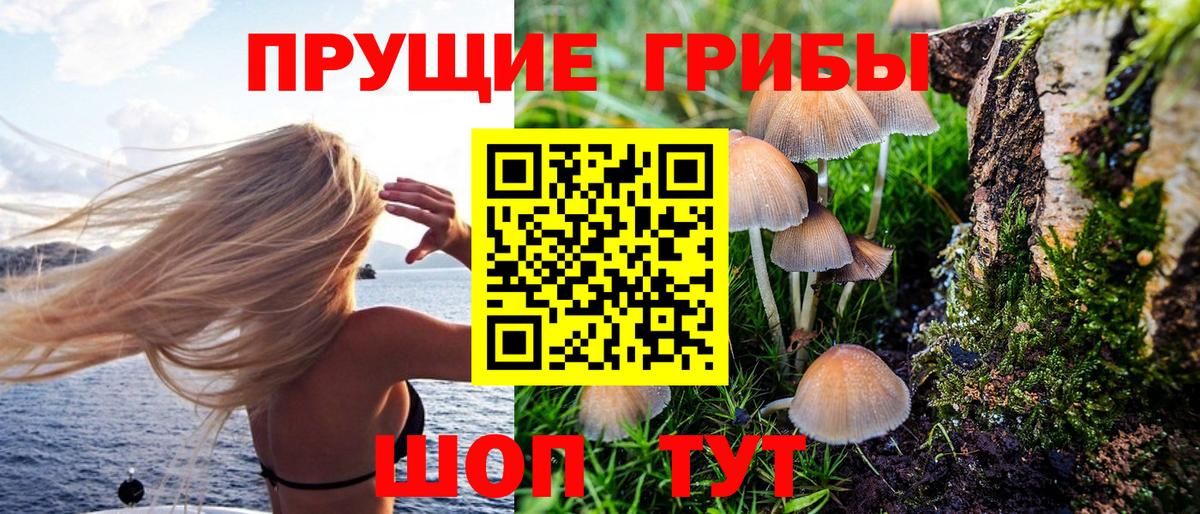 Галлюциногенные грибы мицелий Мончегорск